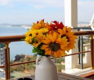 Panoramiczny 3-Pokojowy Apartament z Widokiem na Morze – Cold Water, Wlora