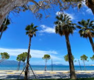 1 Bedroom Apartment For Sale In Lungomare Vlore, South Of Albania
